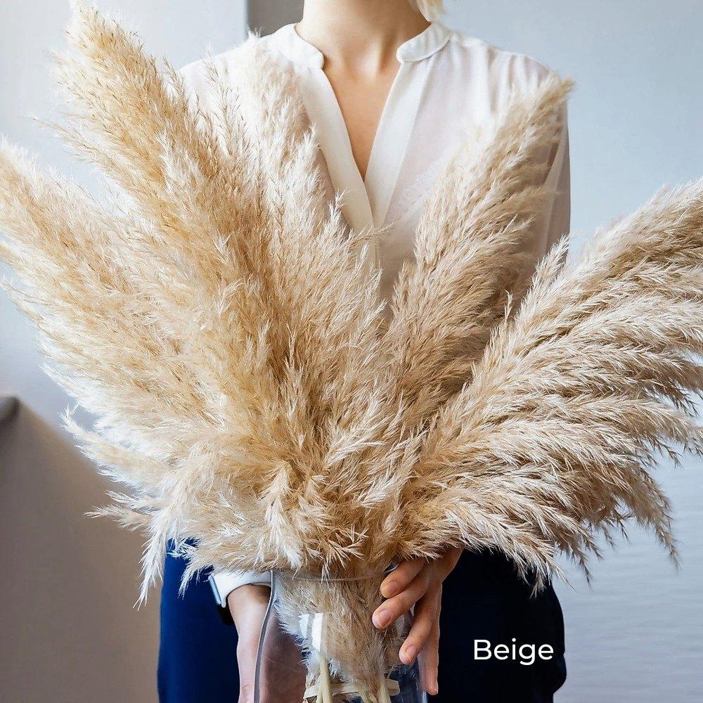 Stornfield | 80 cm natural, real dried pampas grass bouquet (white / beige / gray) │ fluffy feather for modern boho home decor