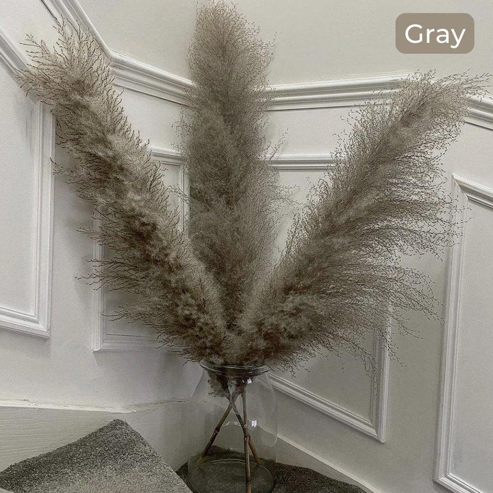 Stornfield | 80 cm natural, real dried pampas grass bouquet (white / beige / gray) │ fluffy feather for modern boho home decor