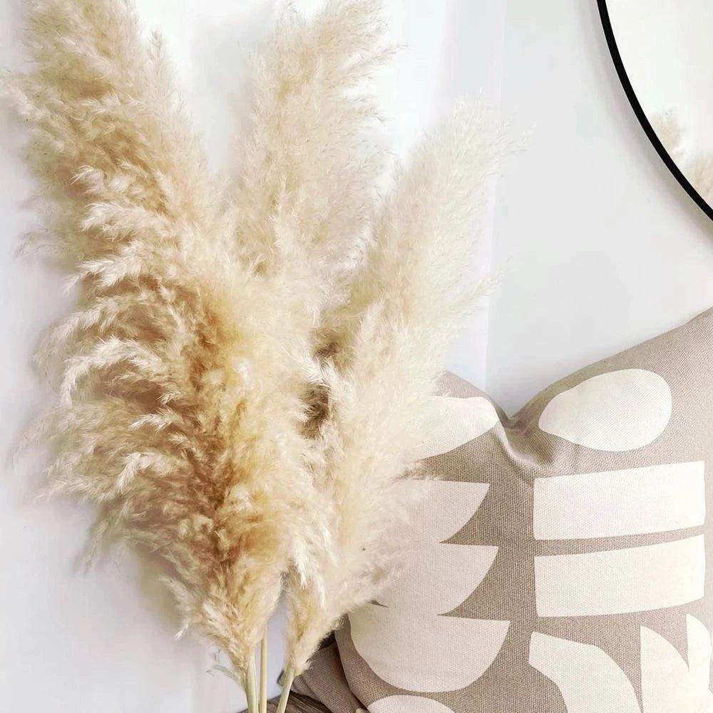 Stornfield | 80 cm natural, real dried pampas grass bouquet (white / beige / gray) │ fluffy feather for modern boho home decor