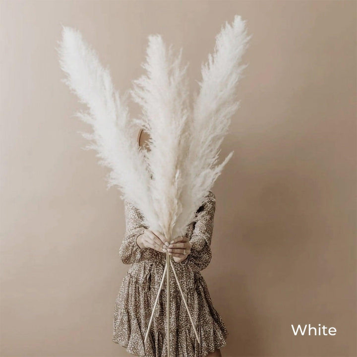Stornfield | 80 cm natural, real dried pampas grass bouquet (white / beige / gray) │ fluffy feather for modern boho home decor
