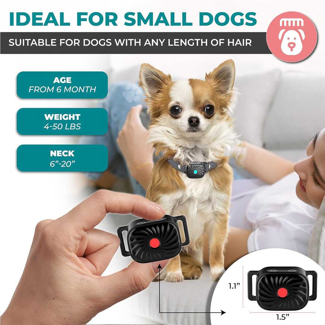 Antibell-Collar for small dogs