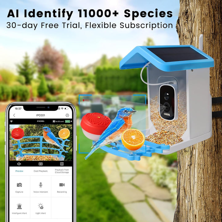Smart Bird Feeder with Solar Camera – AI Bird Recognition & Night Vision | Stornfield