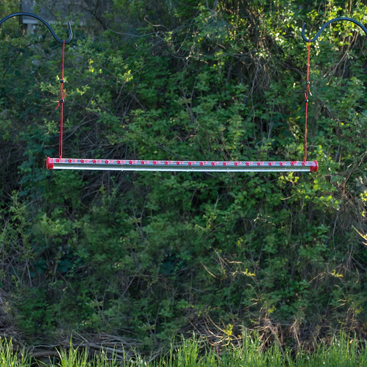 Bob's Best Hummingbird Feeder | Stornfield