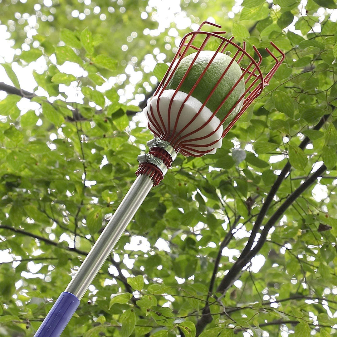 Fruit Picker Tool | Stornfield