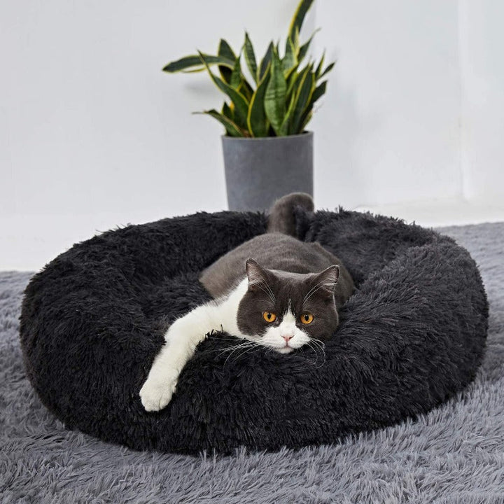 Stornfield | PawNest Soothing Donut Cat Bed | Round Plush Kennel | Stress-Reducing and Comfortable | Perfect for Cats and Small Dogs