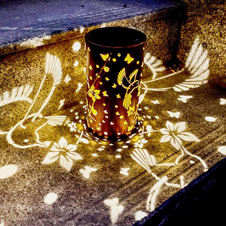 Lanterne Solaire Colibri Creuse Lumineuse