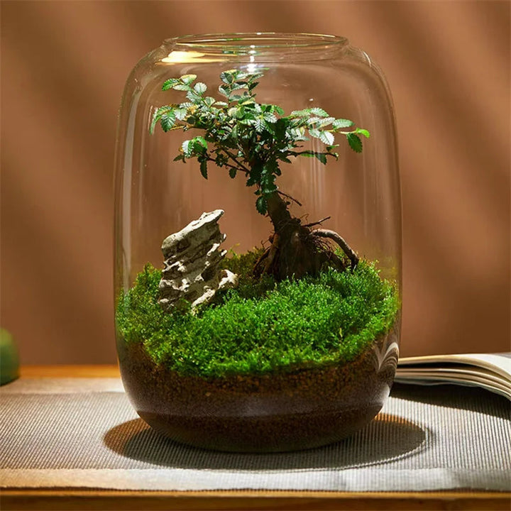 Micro Landscape Green Oasis Glass Vase | Stornfield