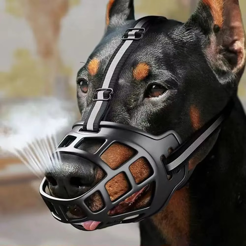 GuardPaw — Finally enjoy every walk worry-free and secure | Stornfield