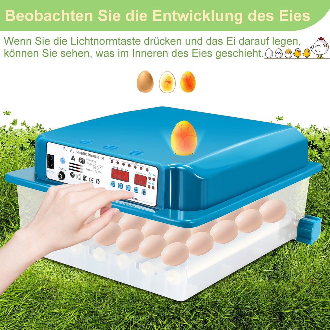 Brutautomat Fully Automatic Incubator for Chickens 36 Eggs | Stornfield