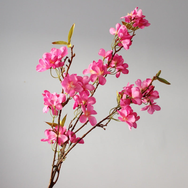 Realistic Blossom Stem
