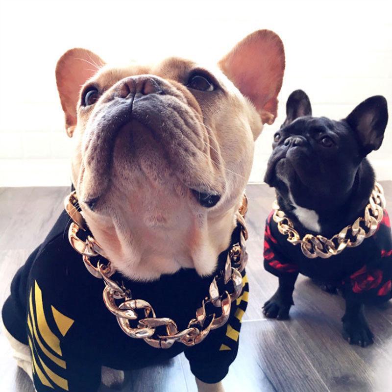 Stornfield | Pet Jewelry Thick Gold Chain Collar
