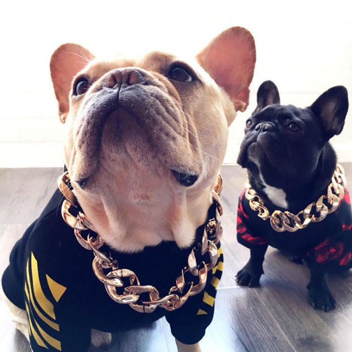 Stornfield | Pet Jewelry Thick Gold Chain Collar
