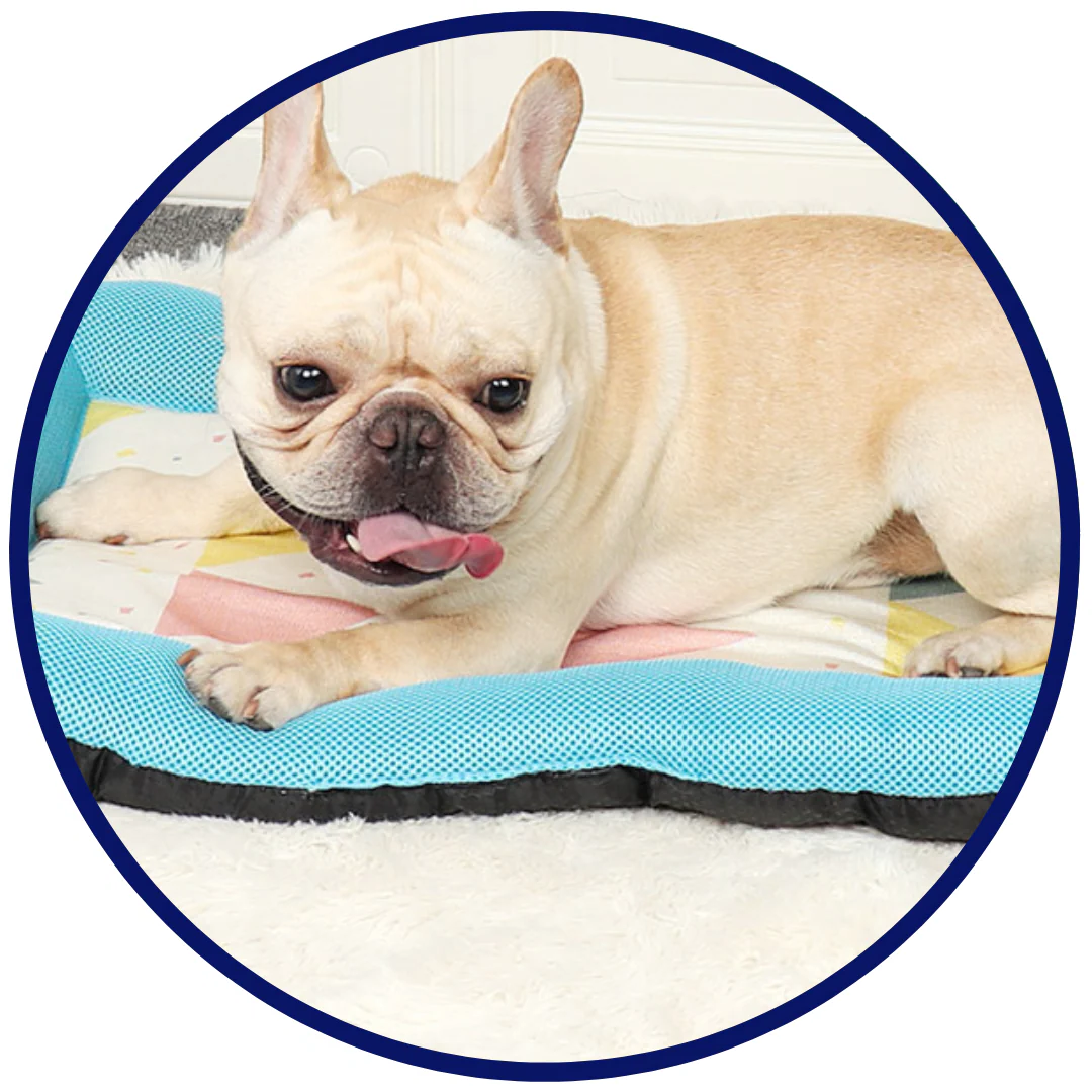 Pet Silk Cooling Mat | Stornfield