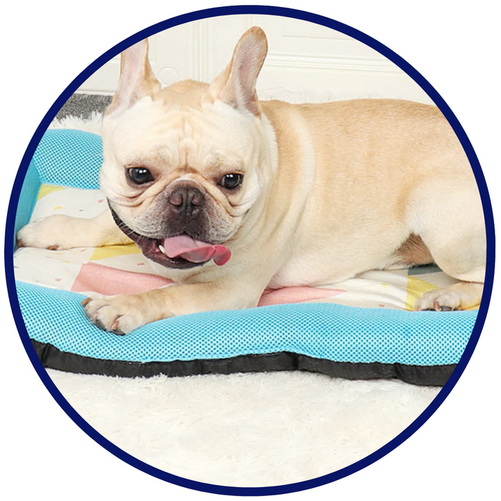 Pet Silk Cooling Mat | Stornfield