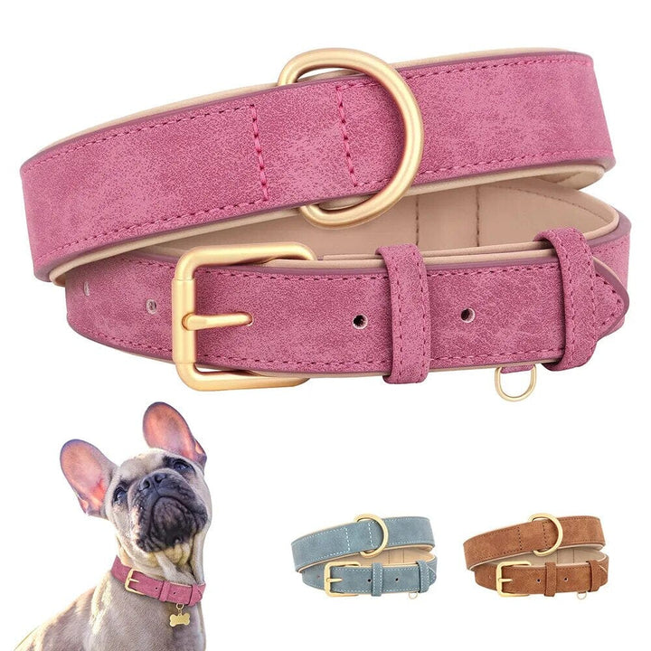 Stornfield Pup Collar