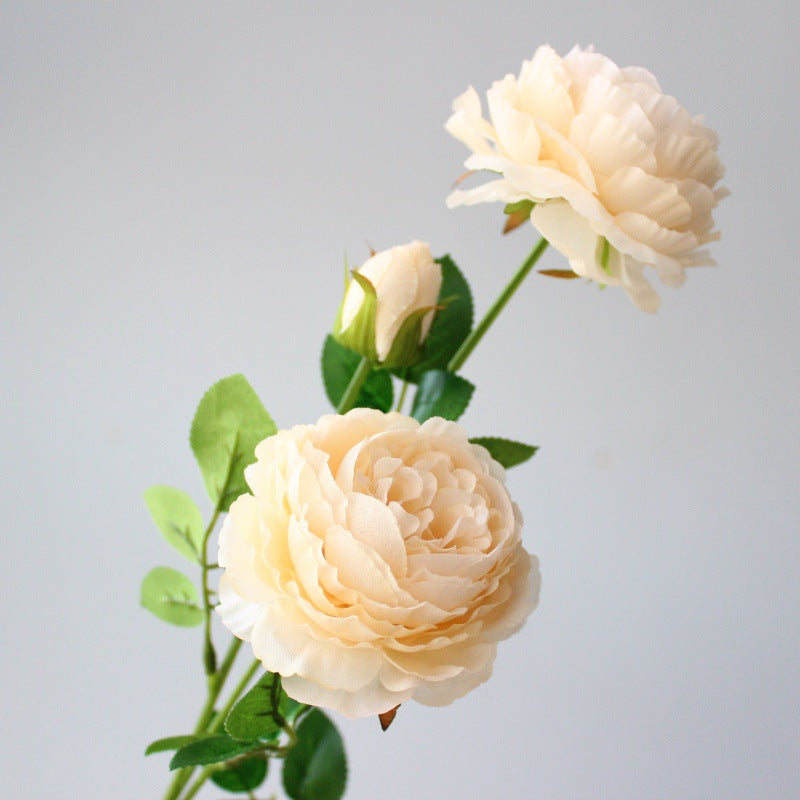 Realistic Peony Floral Stem