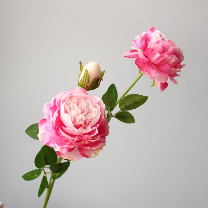 Realistic Peony Floral Stem