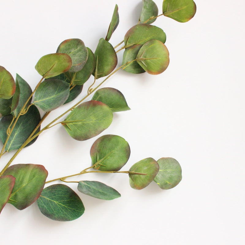 Decorative Eucalyptus Branch