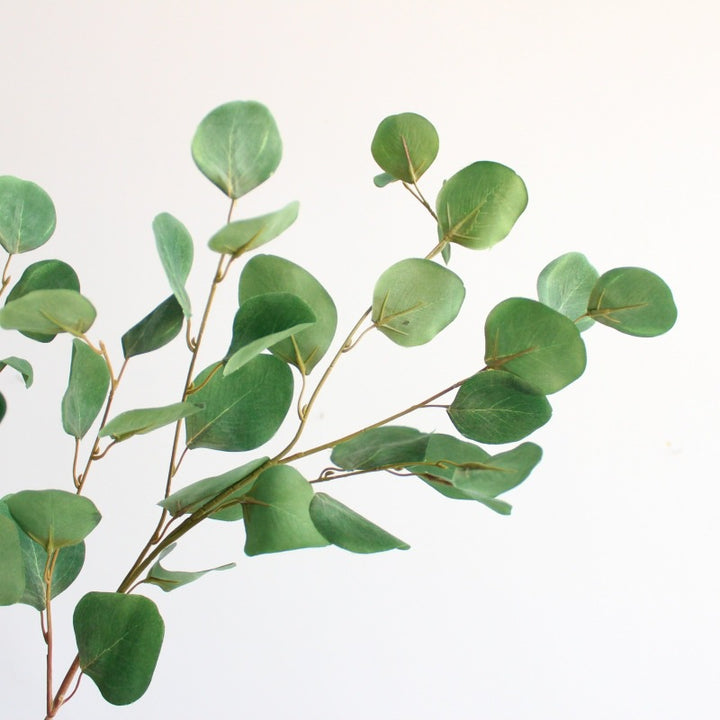 Decorative Eucalyptus Branch