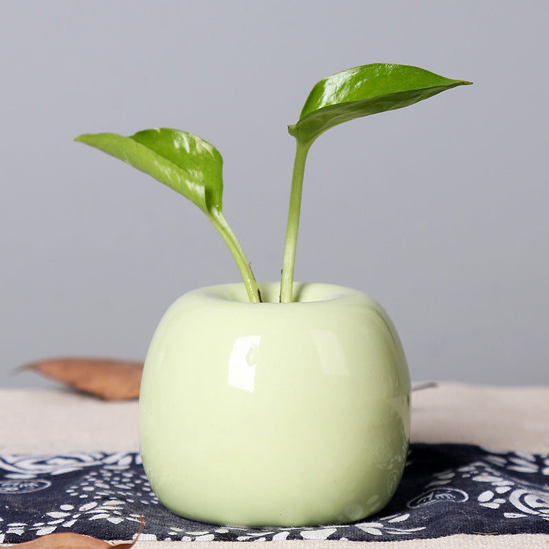 Artistic Ceramic Apple-Shaped Planter Stornfeild