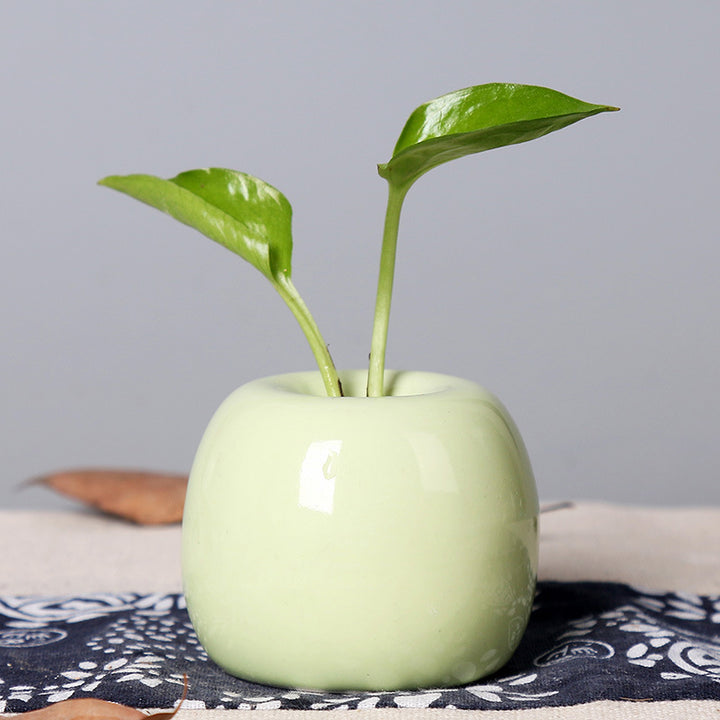 Artistic Ceramic Apple-Shaped Planter Stornfeild