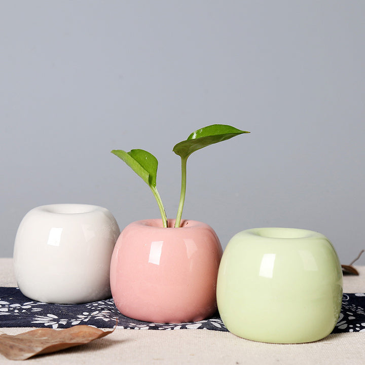 Artistic Ceramic Apple-Shaped Planter Stornfeild
