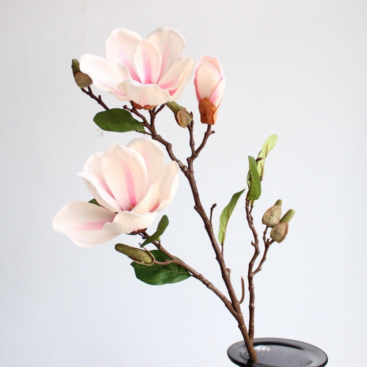 Realistic Magnolia Blossom Stem