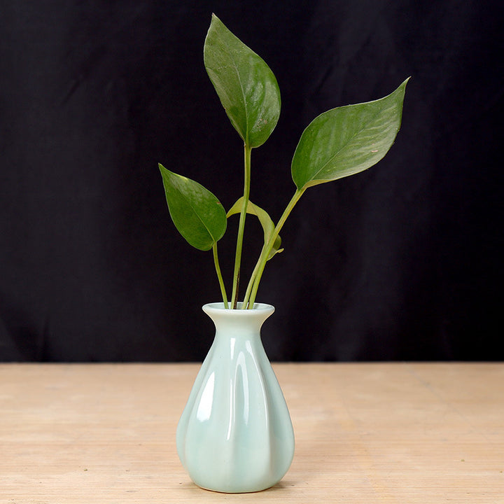 Elegant Ceramic Flower Holder Stornfeild