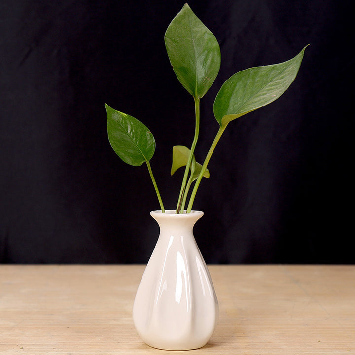 Elegant Ceramic Flower Holder Stornfeild