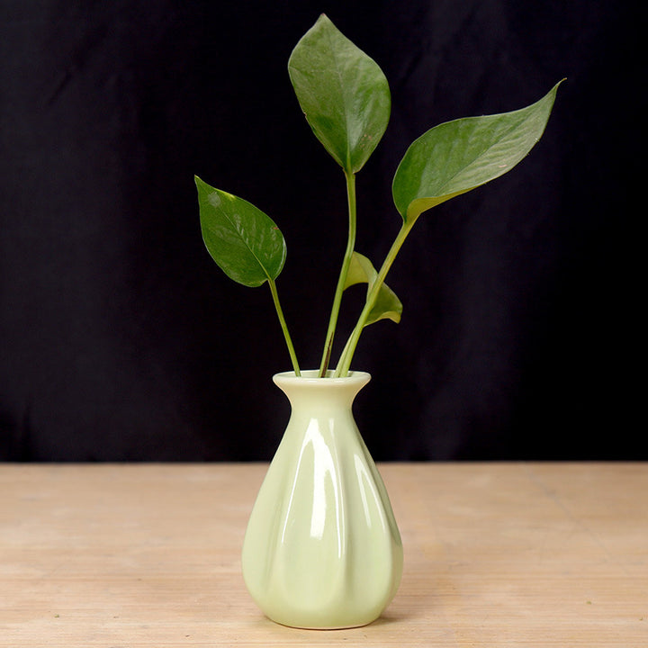 Elegant Ceramic Flower Holder Stornfeild