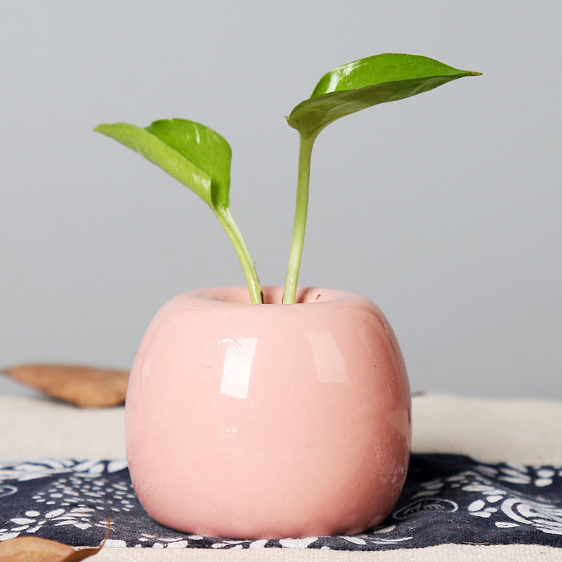 Artistic Ceramic Apple-Shaped Planter Stornfeild
