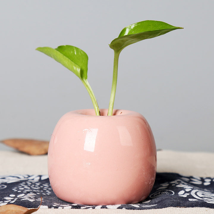 Artistic Ceramic Apple-Shaped Planter Stornfeild