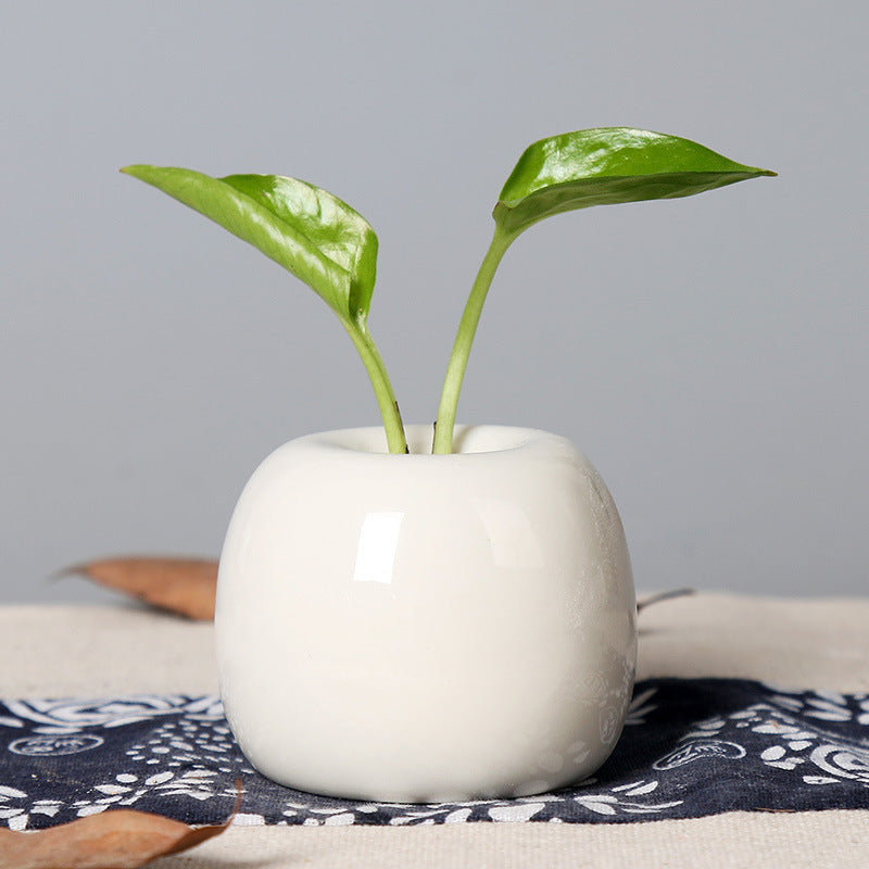 Artistic Ceramic Apple-Shaped Planter Stornfeild