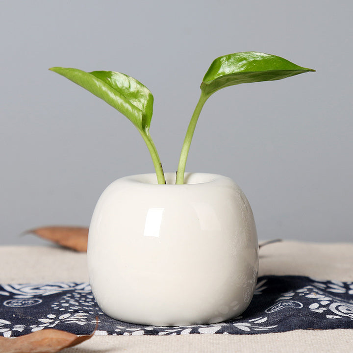 Artistic Ceramic Apple-Shaped Planter Stornfeild