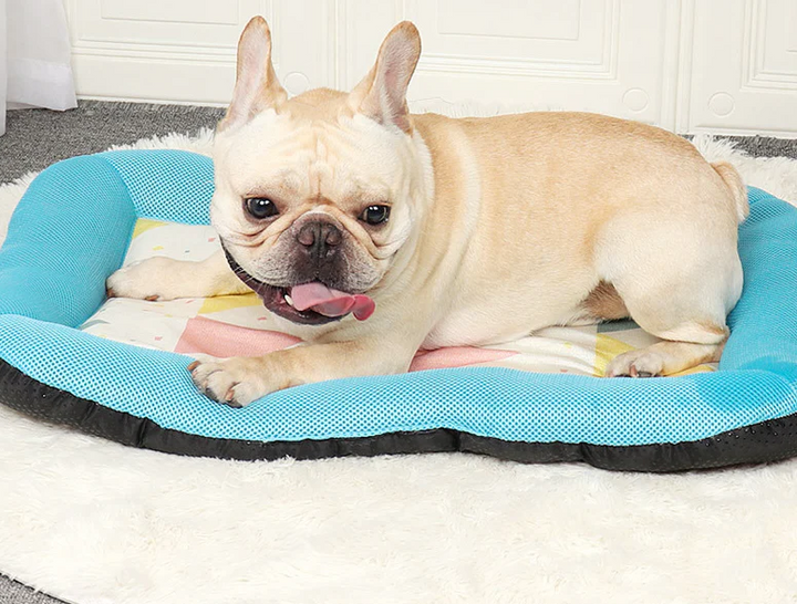 Pet Silk Cooling Mat | Stornfield