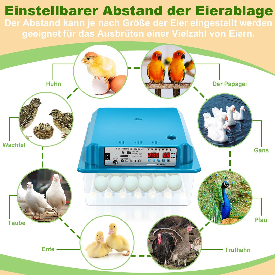Brutautomat Fully Automatic Incubator for Chickens 36 Eggs | Stornfield