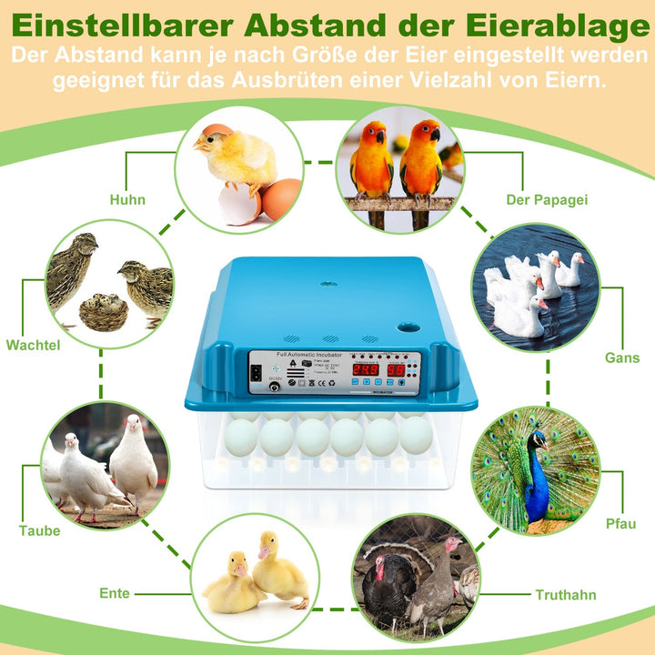 Brutautomat Fully Automatic Incubator for Chickens 36 Eggs | Stornfield