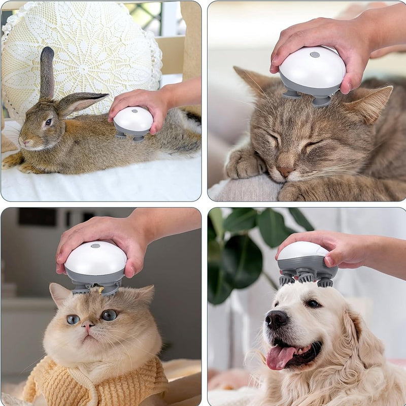 Mini Head Massager, available for pets and people | Stornfield