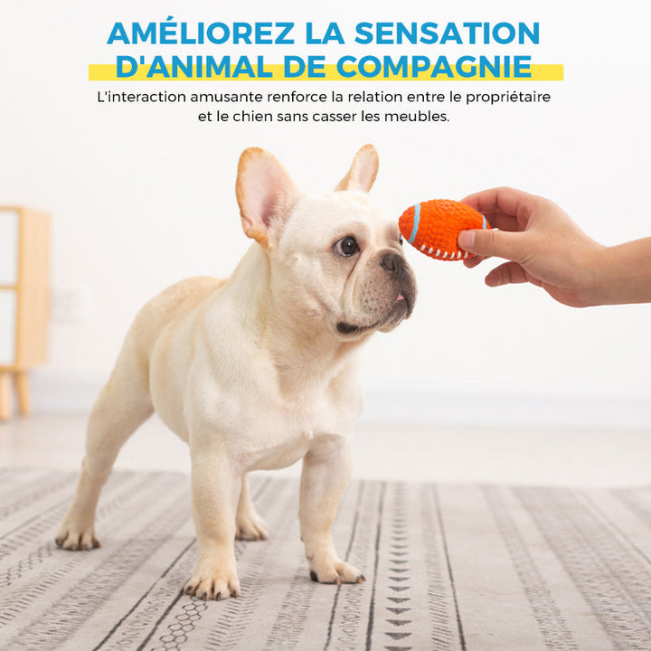 Immortal toy for aggressive chewers | Stornfield