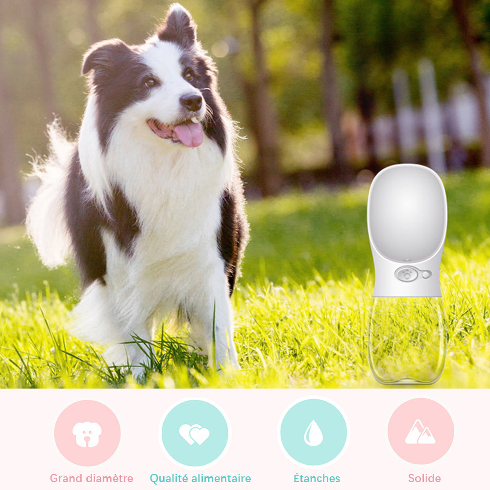 Stornfield Outdoor Portable Pet Water Bottle