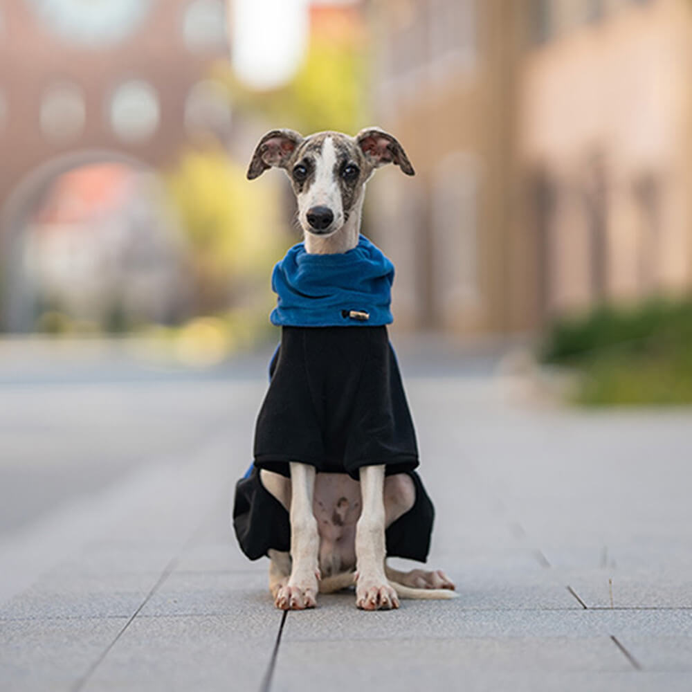Stornfield | Full Protection Fleece Dog Bodysuit with Detachable Collar