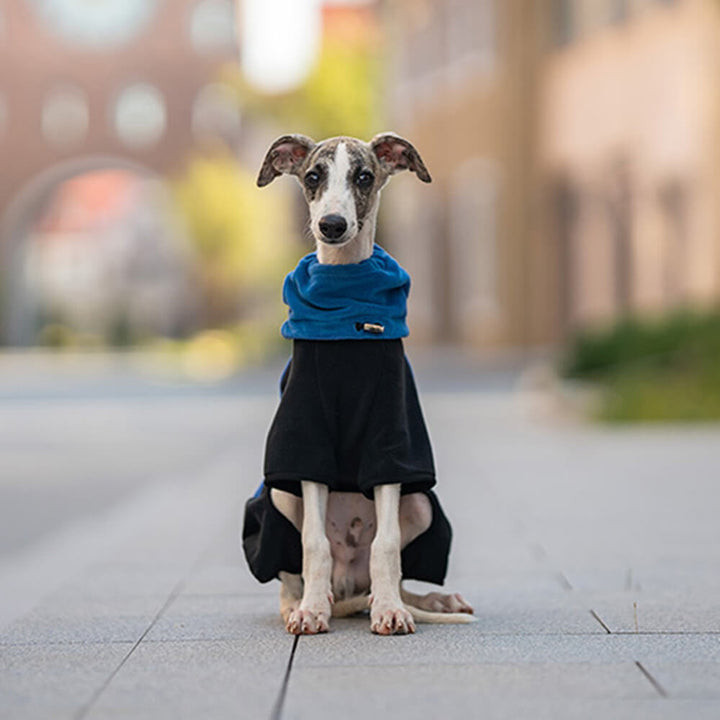 Stornfield | Full Protection Fleece Dog Bodysuit with Detachable Collar