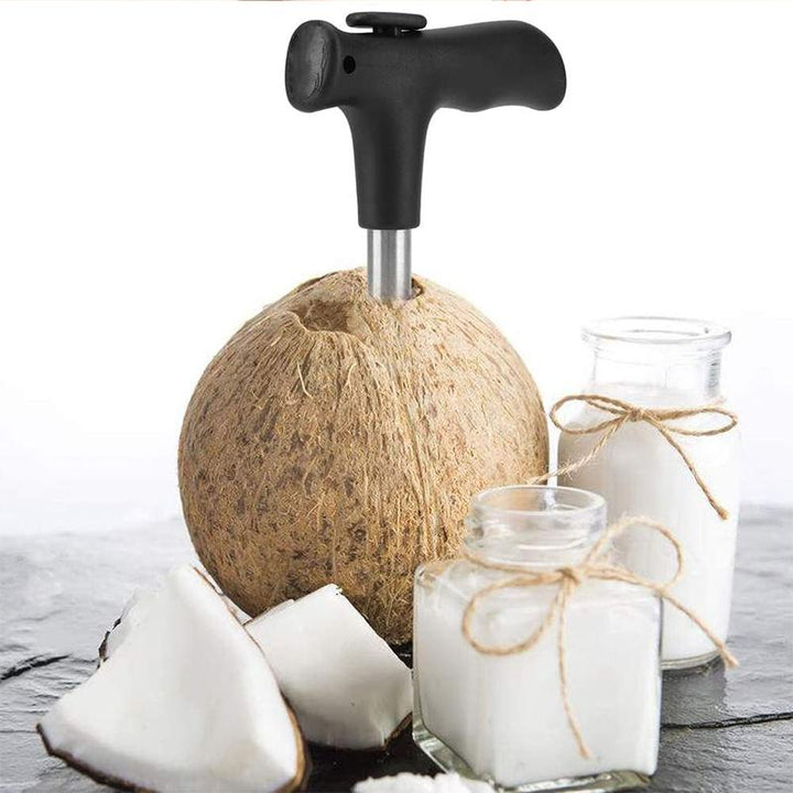 Coconut opening tool in Stainless Steel | Stornfield