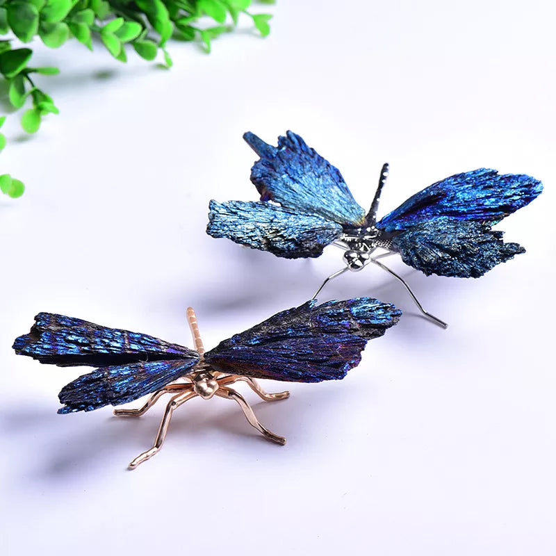 AURA TOURMALINE KYANITE DRAGONFLY | Stornfield