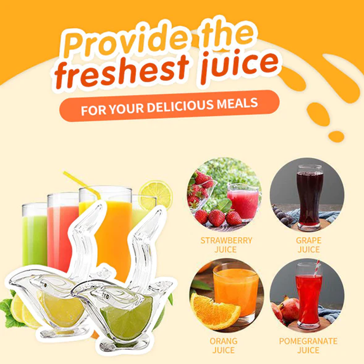 Transparent Manual Juicer | Stornfield