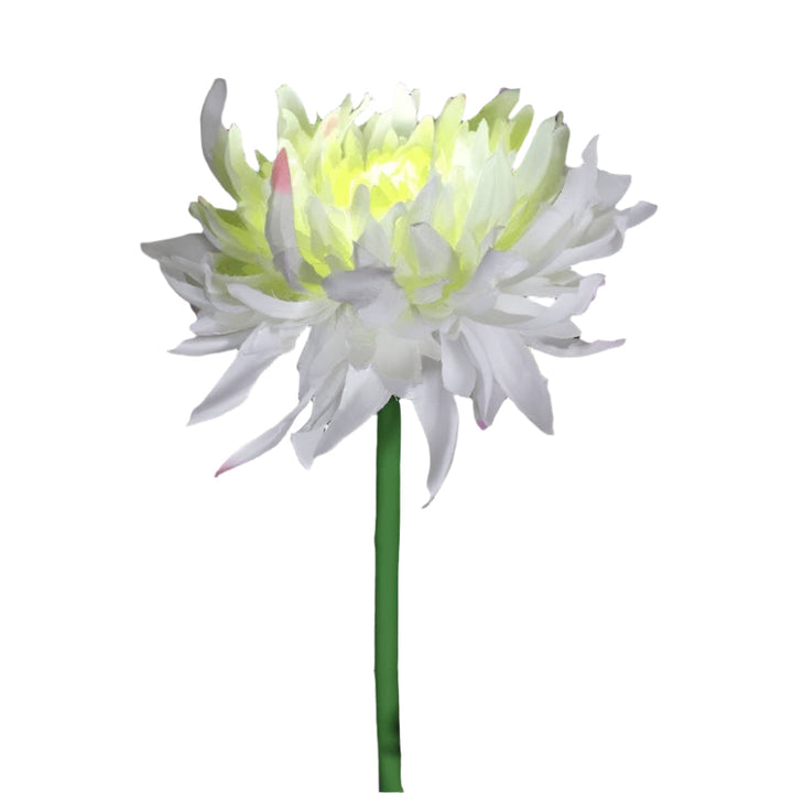 Stornfield Color-Changing LED Outdoor Decor – Powered Garden Lights