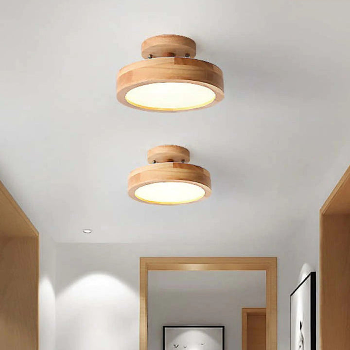 Alaric Modern LED Ceiling Lamp | Stornfield