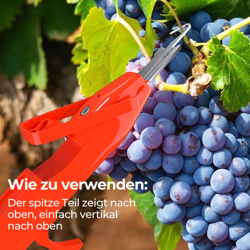 Efficient Pepper Picking Tools | Stornfield