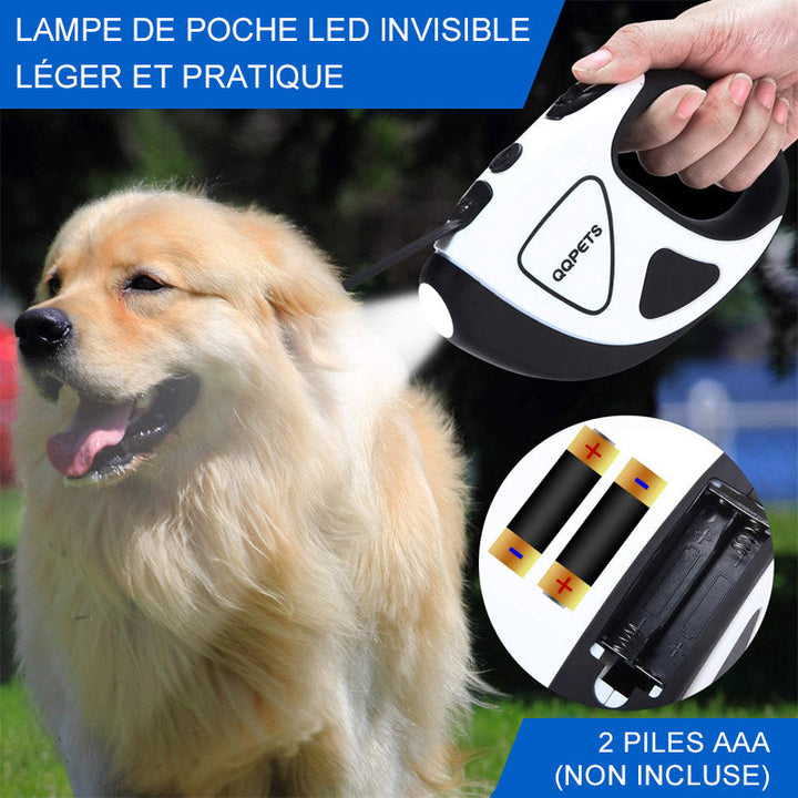 Retractable LED pet leash | Stornfield