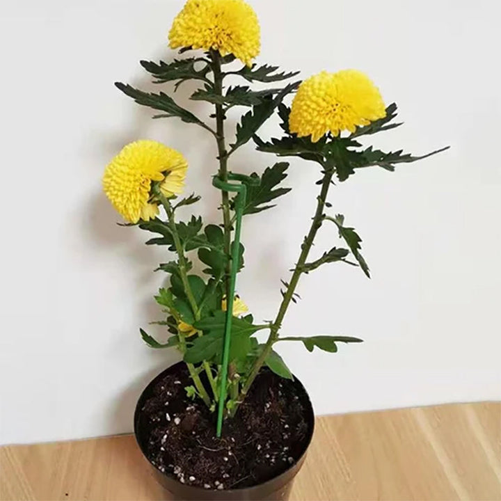 Plant support pole | Stornfield